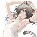 عرض الملف - Anlifin