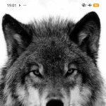 Lihat Profil - S4ur0m792